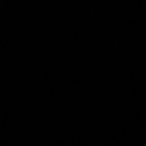 Meet your Posher, George